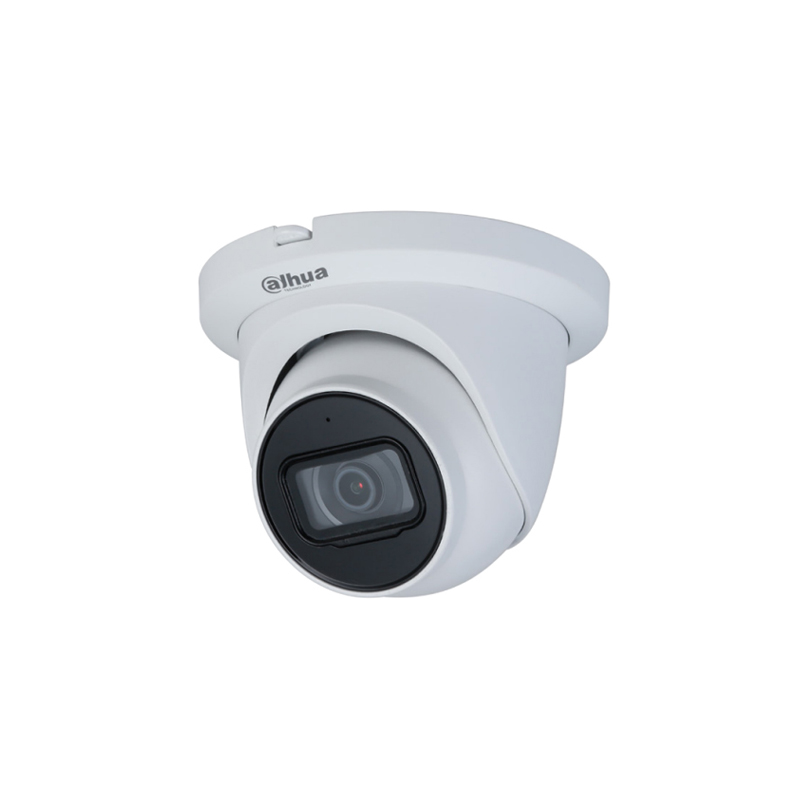 Dahua 2MP IR Fixed-Focal Eyeball WizSense Network Camera