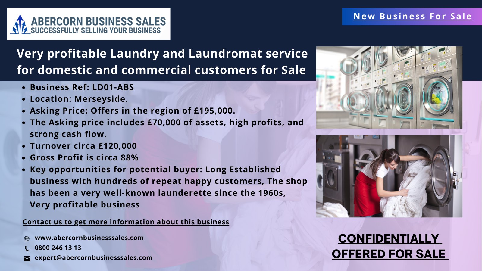 LD01-ABS - Very profitable Laundry and Laundromat service for domestic and commercial customers for Sale