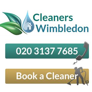Cleaners Wimbledon
