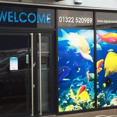 UK Specialists in Personalized Shop Window Installations