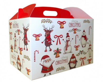 5 x Giant Gable Gift Boxes - (35x24x18cm) CHRISTMAS CHARACTERS