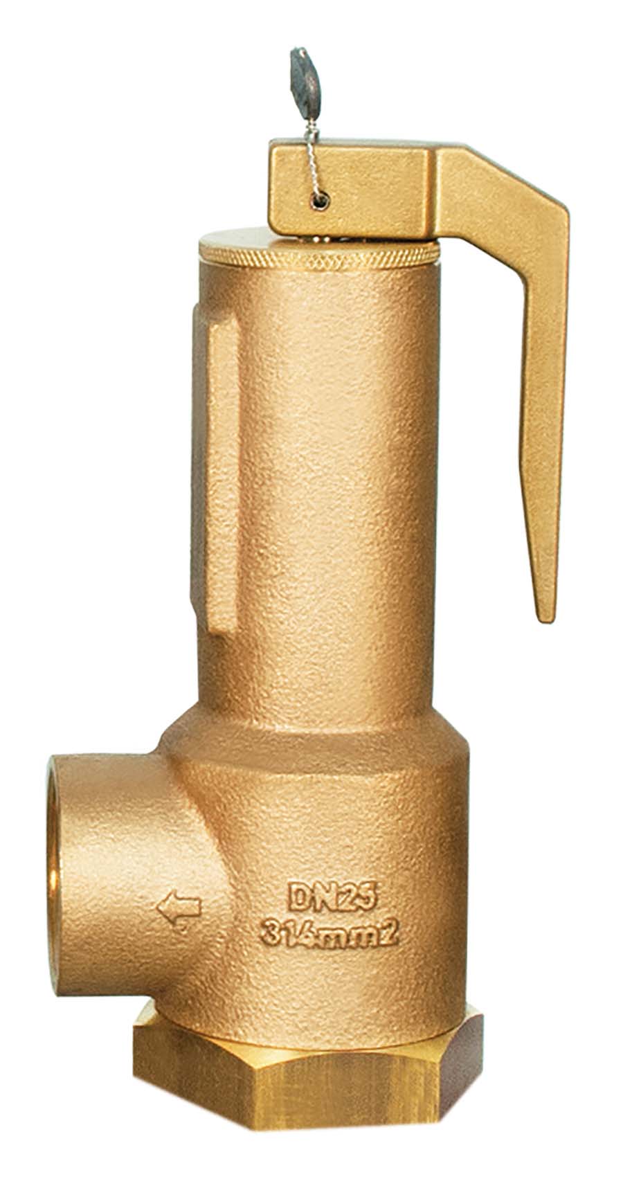 SEETRU LGS&#8482; Bronze Safety Valves DN 25 mm