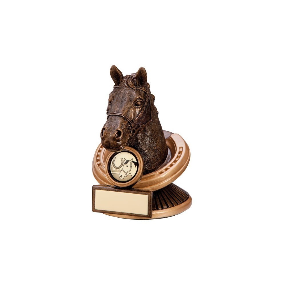 Suppliers Of Equestrian Horse Head Trophy 125mm Hertfordshire