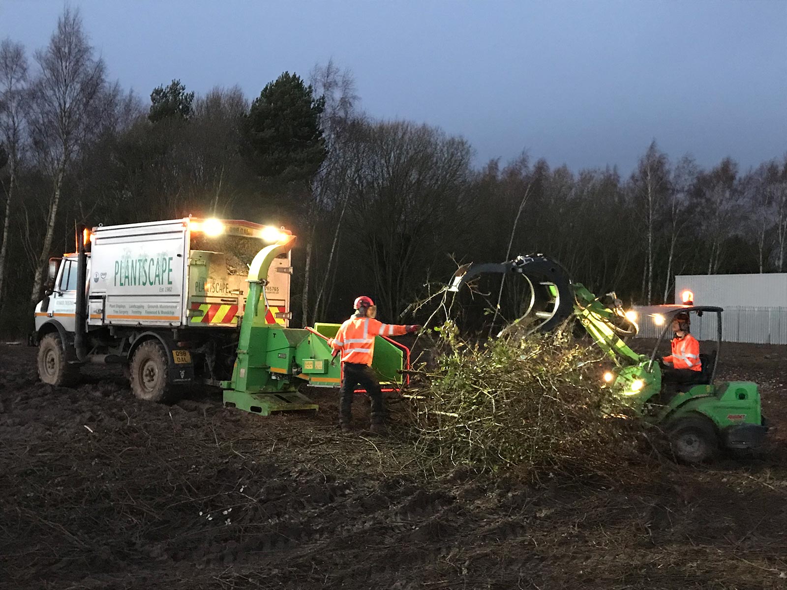 Forestry And Site Clearance Cringleford