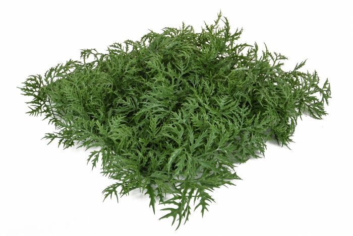 Artificial Topiary Aralia Mat UV