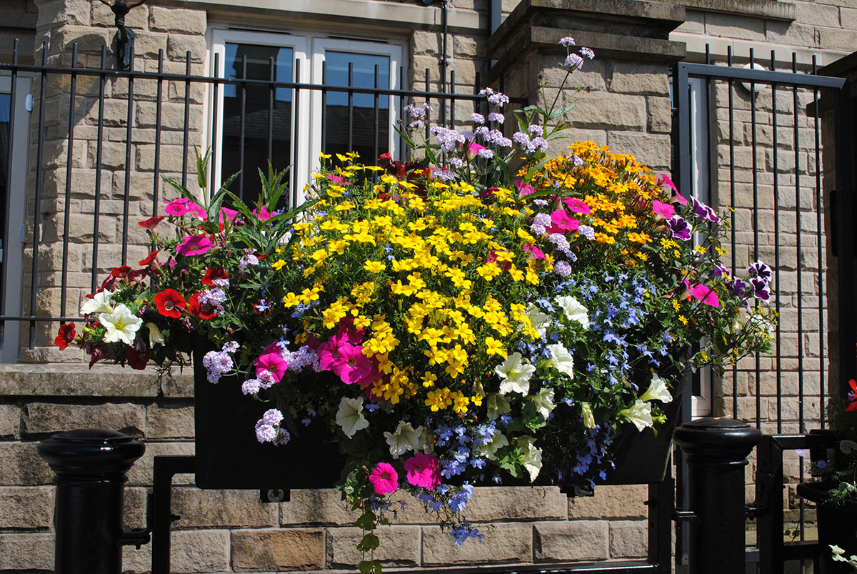 Window Boxes For Public Spaces