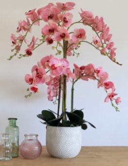 Artificial Silk Phalaenopsis Orchid Grand Arrangement