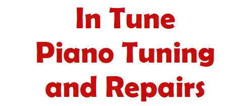 In Tune Piano Tuning and Repairs Hampshire