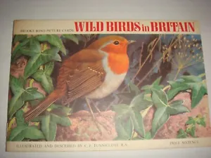 Wild Birds In Britain Brooke Bond Empty Album, Price Sixpence . C1965
