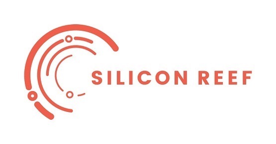 Silicon Reef