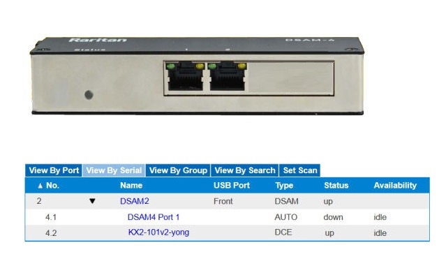 DSAM-2 - Raritan - 2 port Dominion Serial Access Module with true serial access to 2x serial devices, Zero-U device that connects to KX III via USB