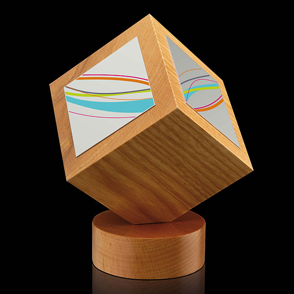 Wooden Cube Award