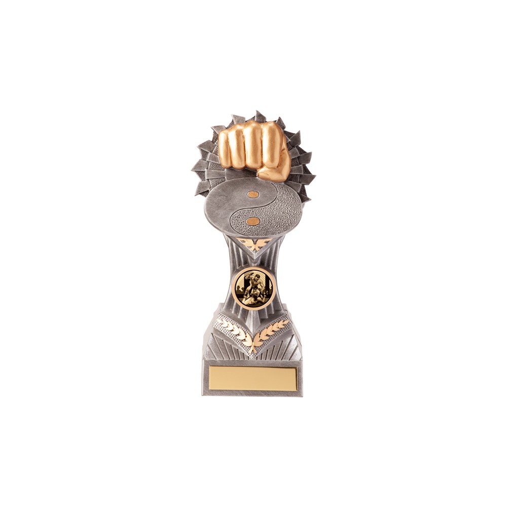 Falcon Martial Arts Award - 5 sizes