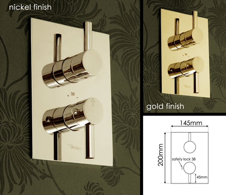 Nickel 2 Function Thermostatic Shower Valve (48N)