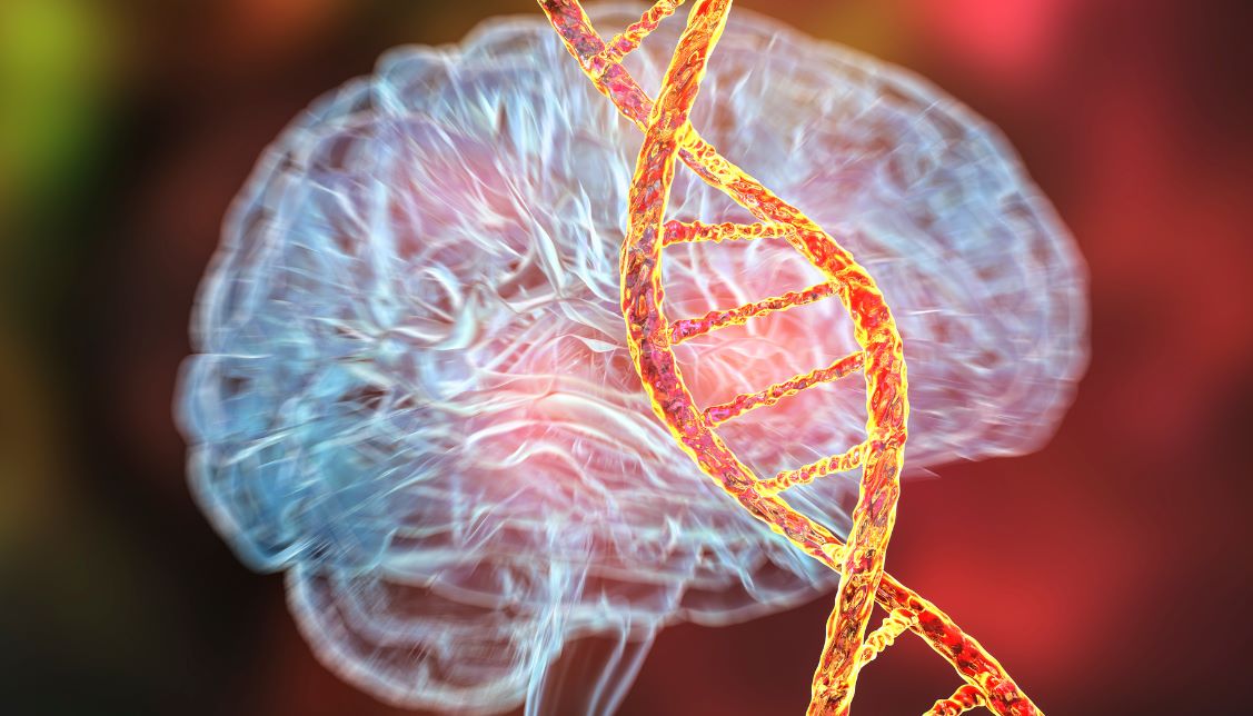 How Genes Affect the Chances of Alzheimer&rsquo;s Disease