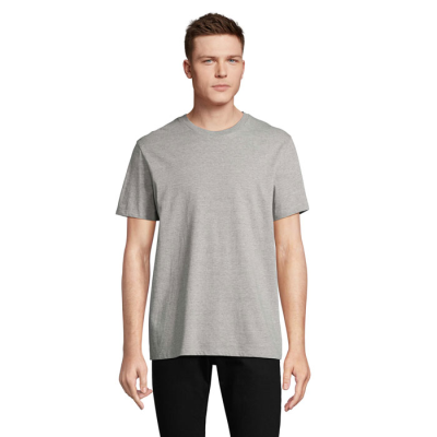 LEGEND TEE SHIRT ORGANIC 175G in Grey.