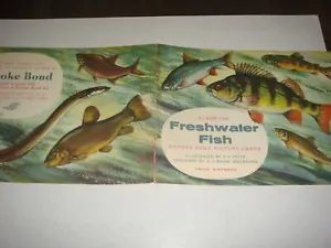 Freshwater Fish Brooke Bond Album Cover Only Price Sixpence