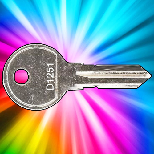 Thule Remover Key D1251