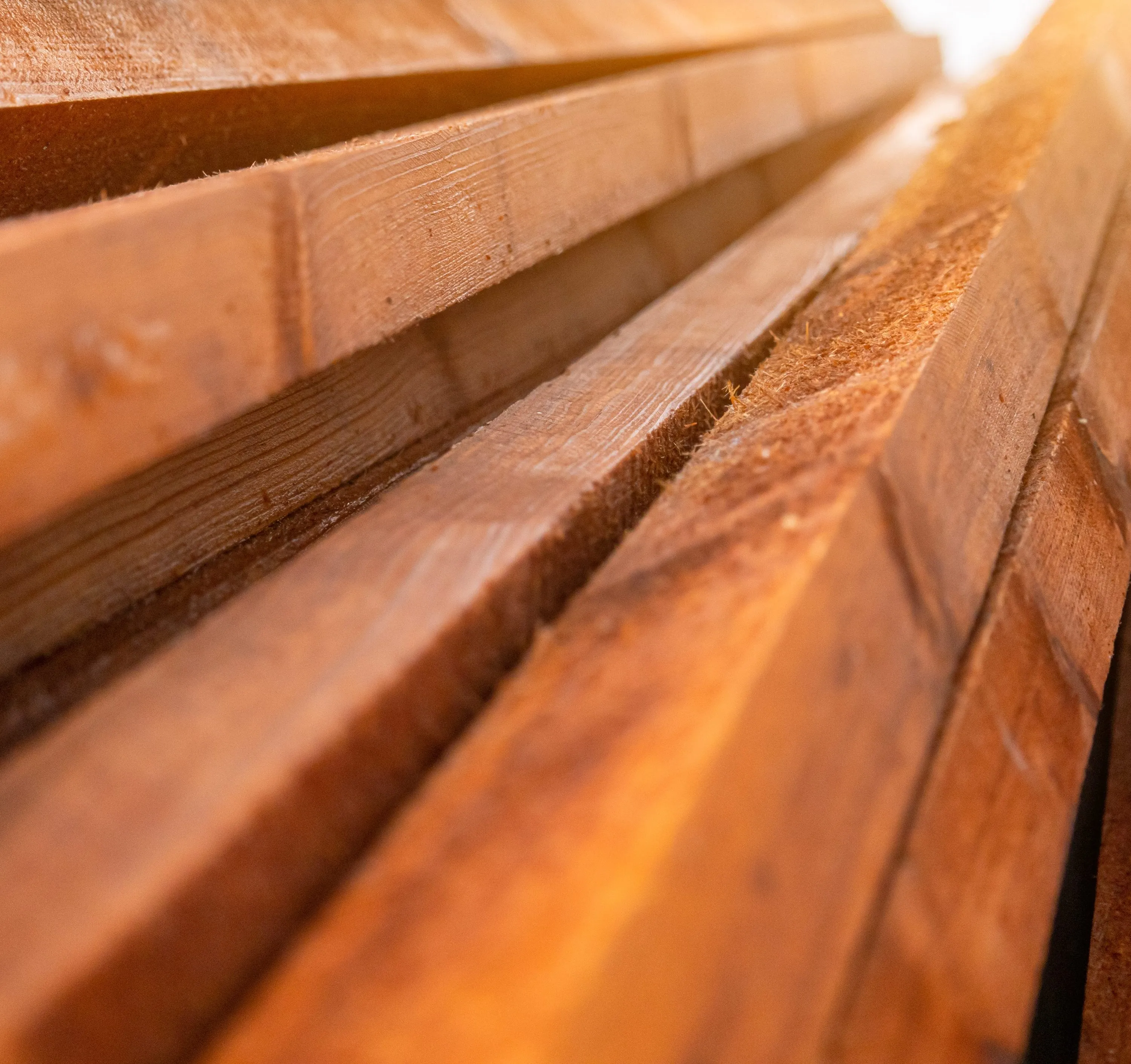 What Is Pressure Treated Timber? A Guide To Its Uses And Advantages