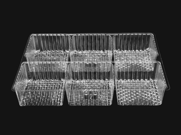 6 Cavity Square Tray