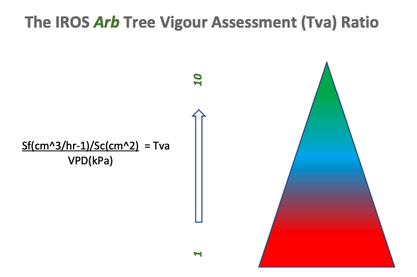 Older Tree Stress Assessment Services