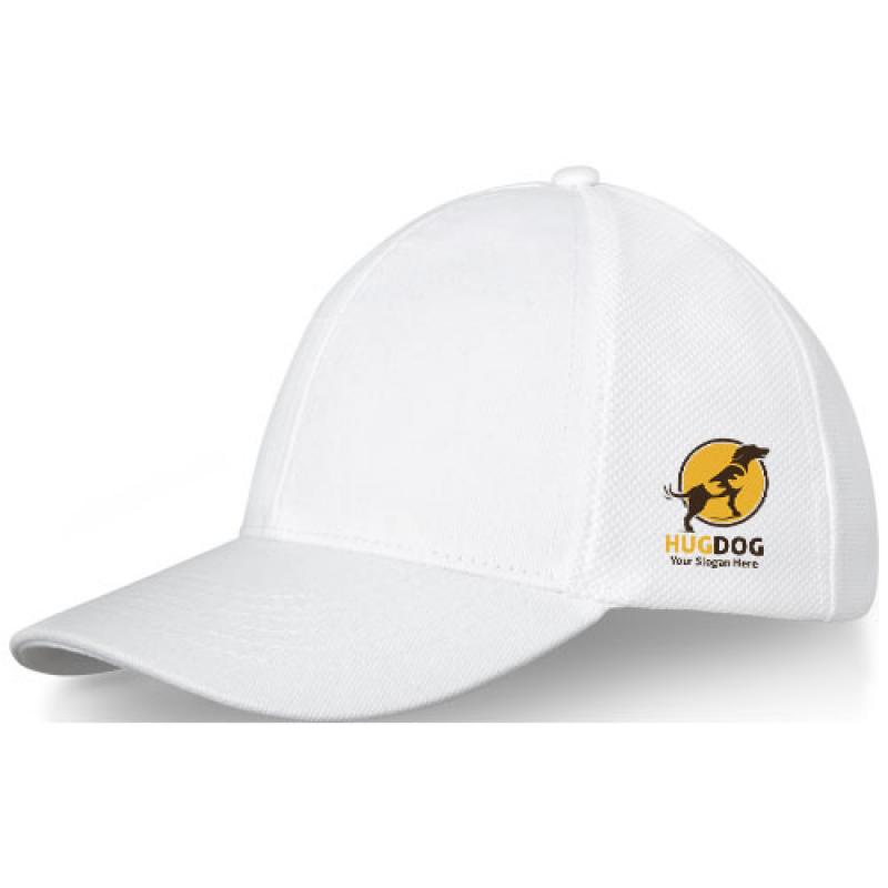 Drake 6?panel cotton trucker cap