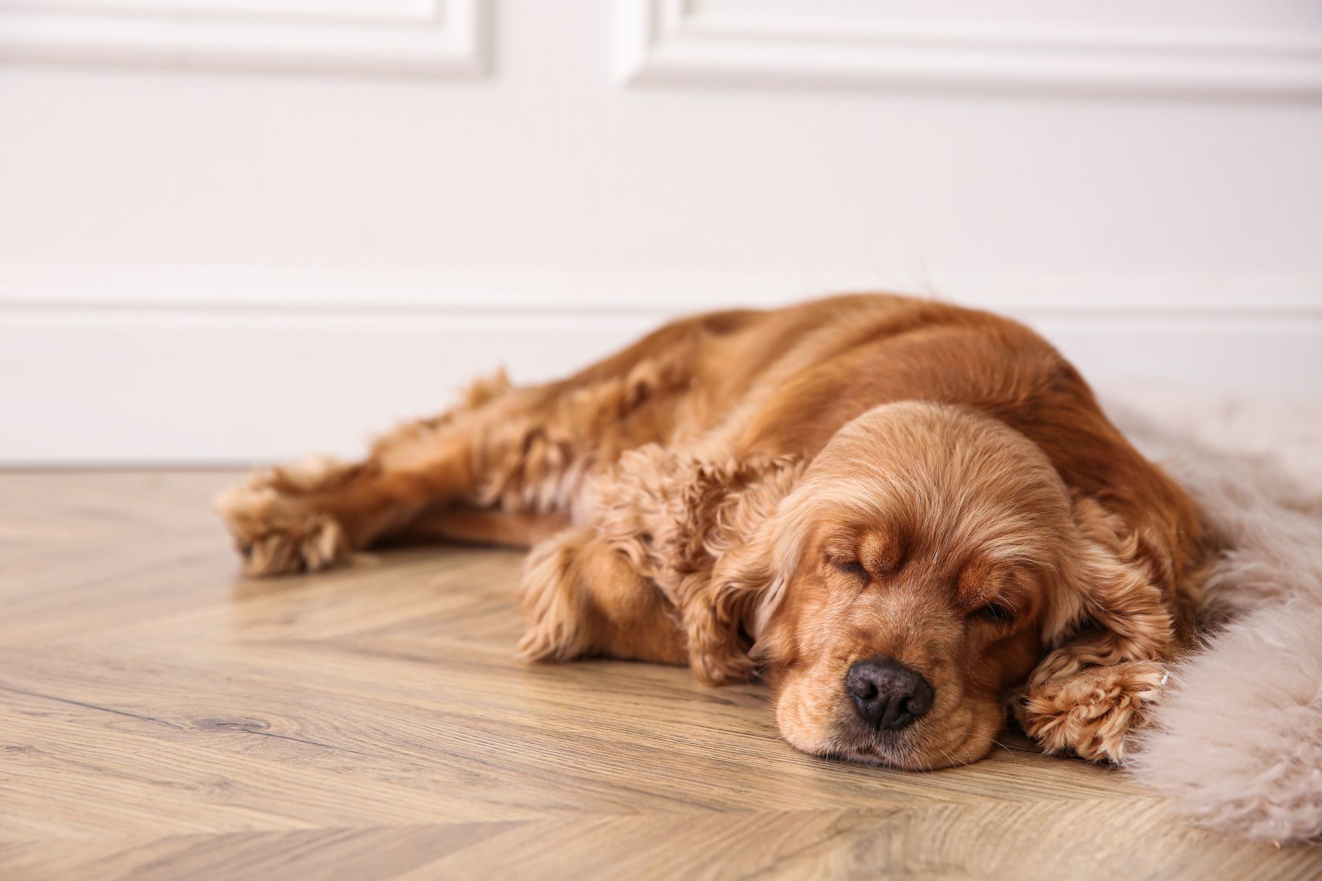 WHAT SCREED IS RIGHT FOR YOU AND YOUR UNDERFLOOR HEATING