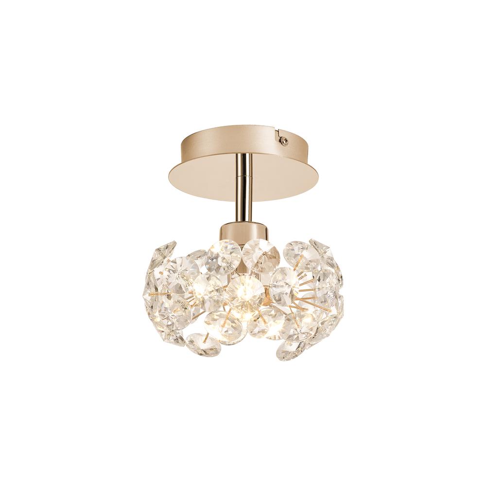 Luxuria Paramount 17cm 1 Light G9 Surface Light With French Gold And Crystal Shade