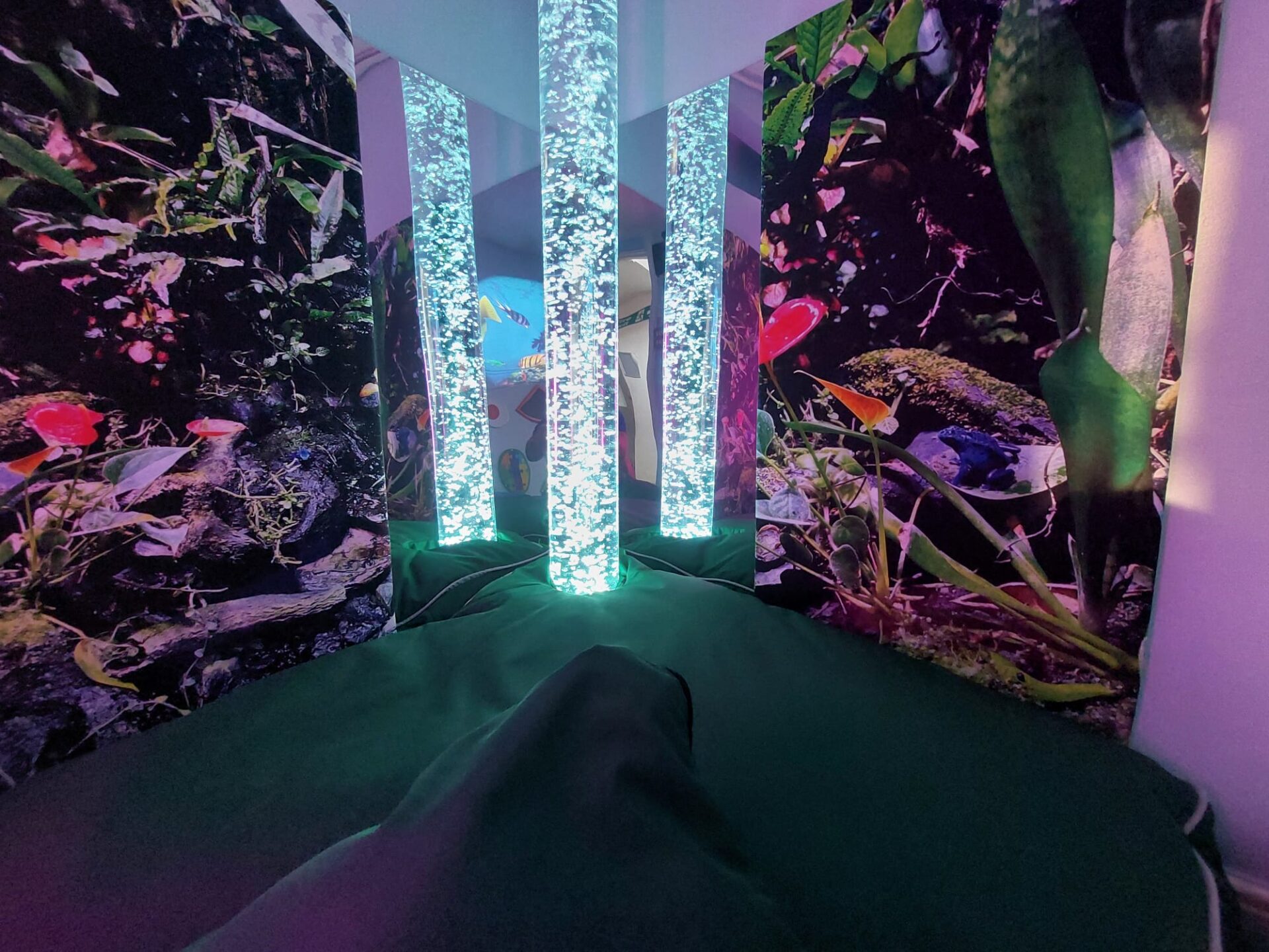 The Rainforest Sensory Room Package