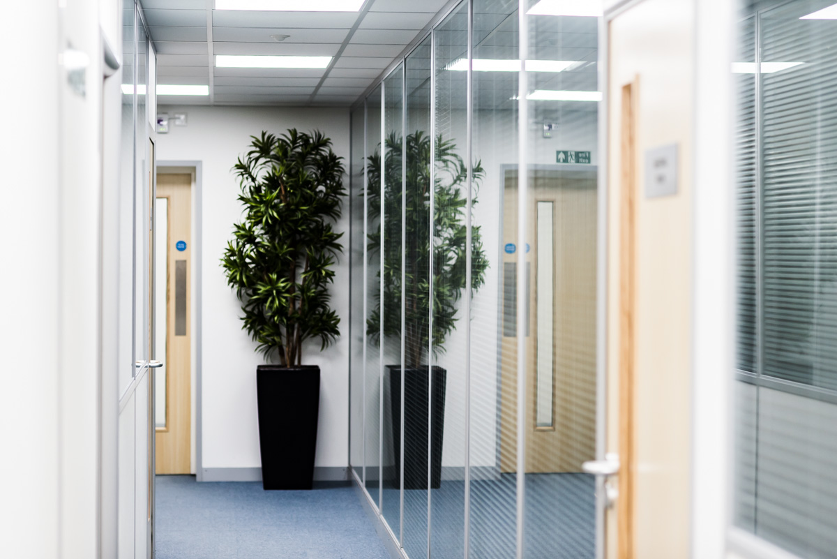 Glass Office Partitions Installation