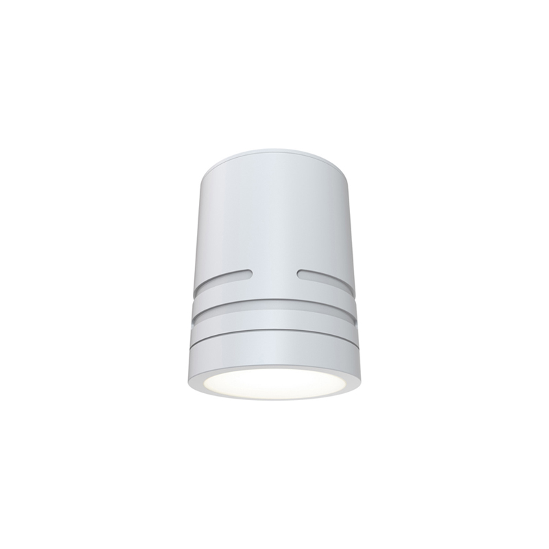 Ansell Reef CCT Surface Fixed LED Downlight White