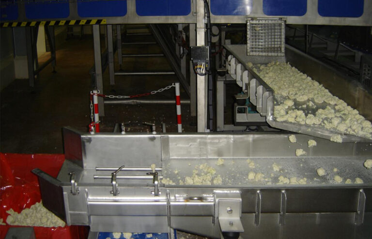 UK Manufacturers of Food Chute For Cauliflower