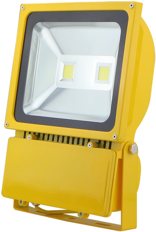 LED 110V 100W ECO Flood Light 6500K
[RAFLED100Y]