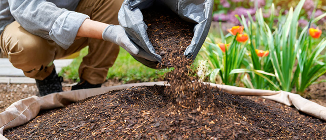 WHY TOP SOIL AND MULCH ARE ESSENTIAL FOR HEALTHY GARDENS & LANDSCAPES