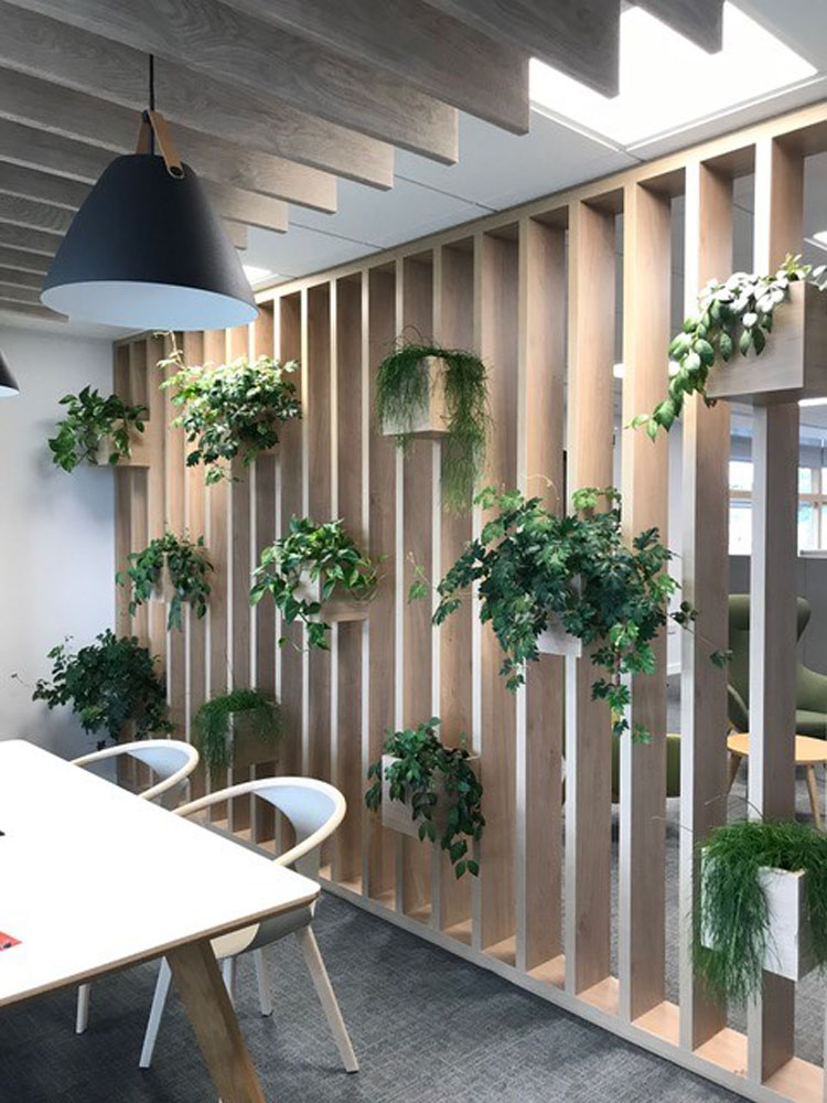 Interior Plant Displays Poringland