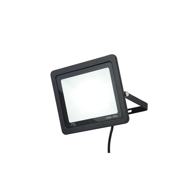 Forum Otley LED Slimline Floodlight 100W