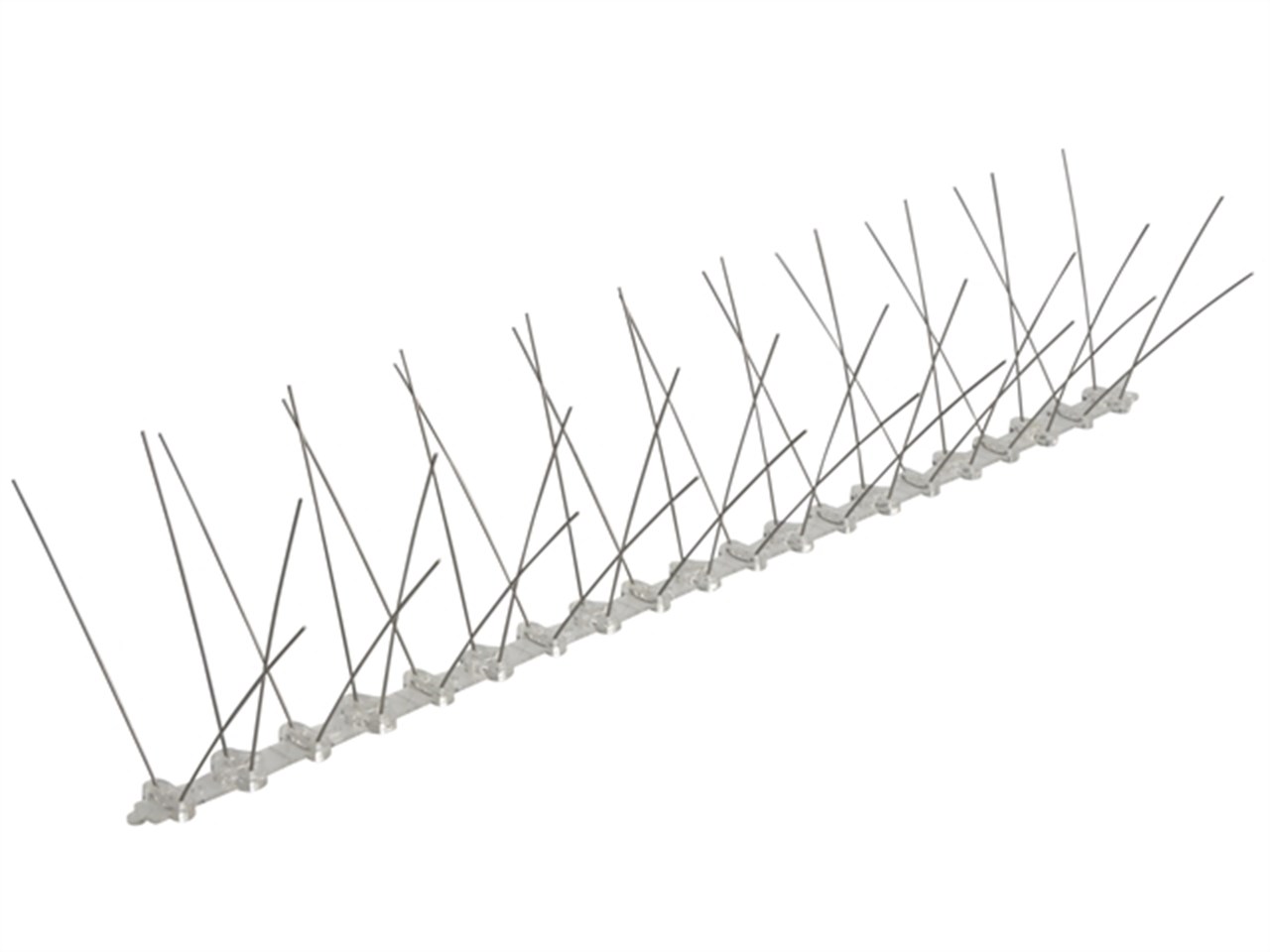 Bird Spikes