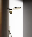 Moon Brass Drencher Shower Head (78SBR)