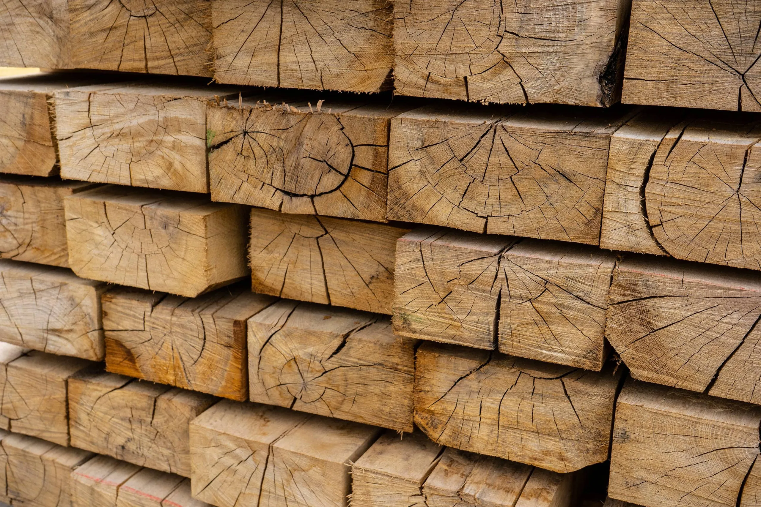 Hardwood or Softwood Timber? Which is best for the job?