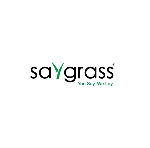 Saygrass