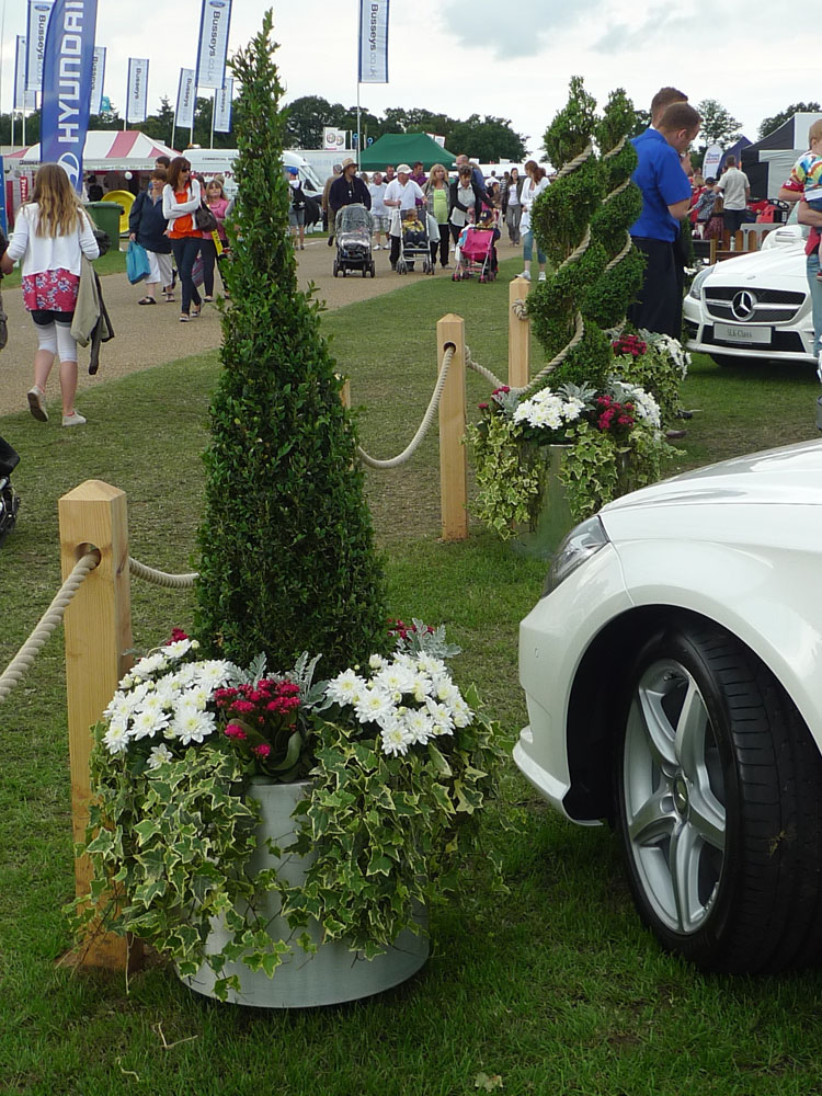Plant Hire For Events Mulbarton