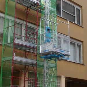 300kg Capacity Platform Hoist