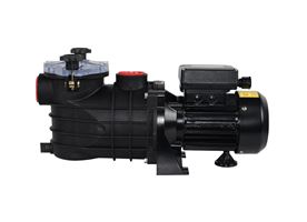 Distributor of Swimming Pool Pumps Applications