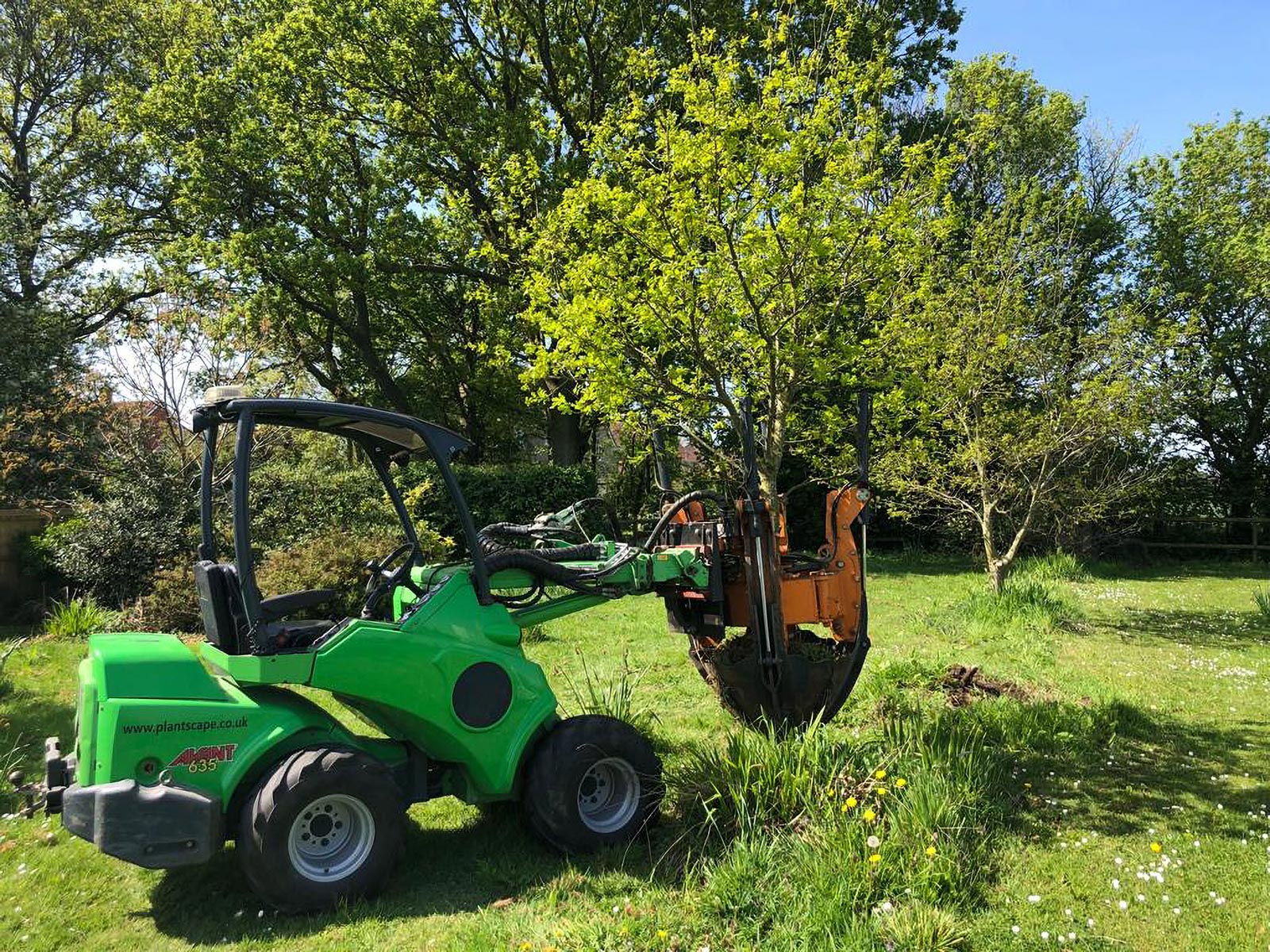 Tree Moving Services Wymondham