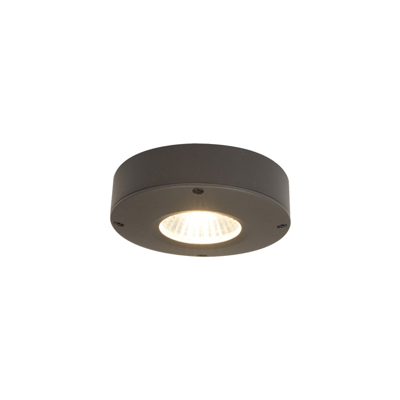 Ansell Calisto LED Wall/Ceiling Light Graphite