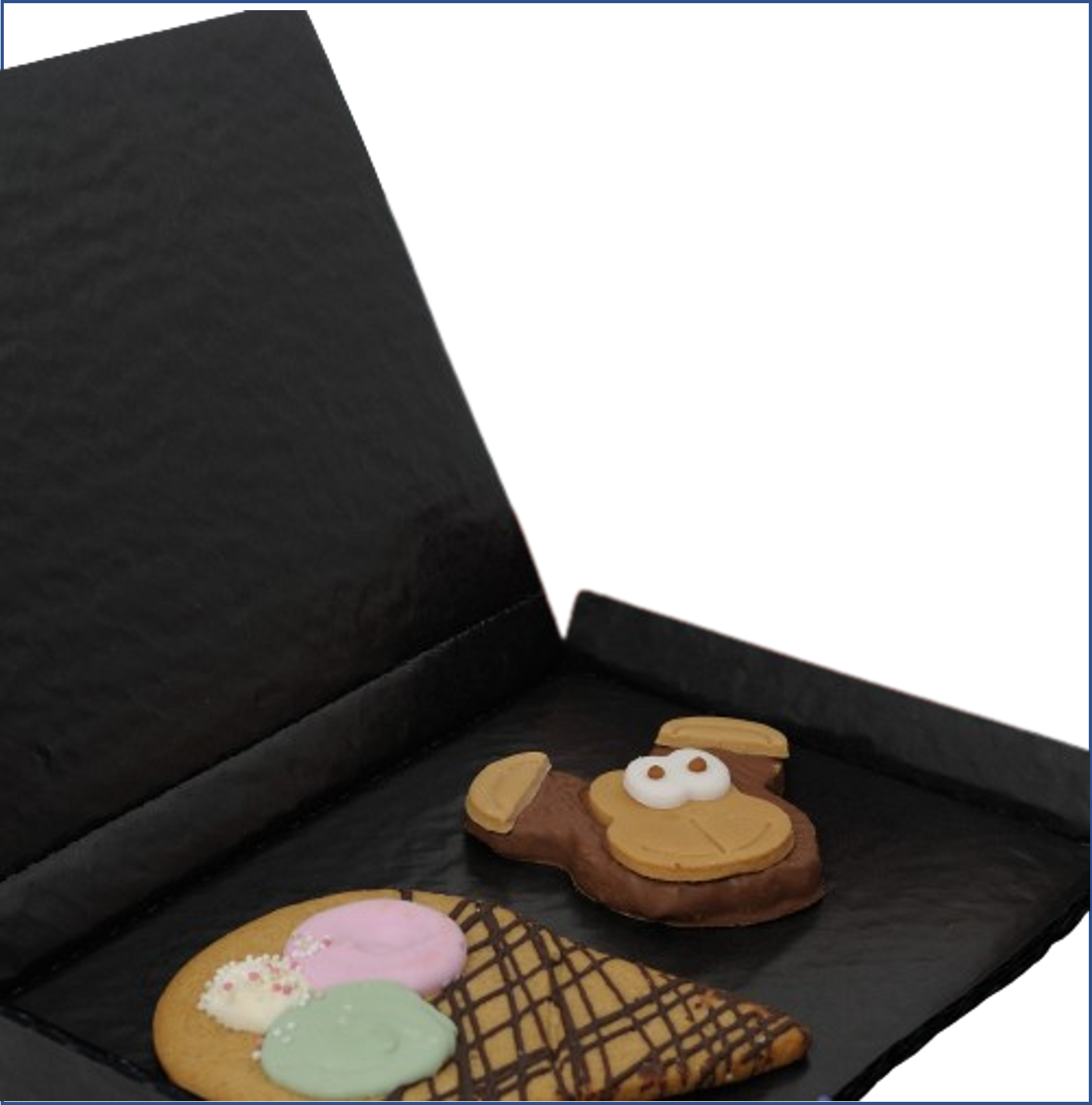 5 ply Cushion Pads Suppliers For Biscuit Manufacturers
