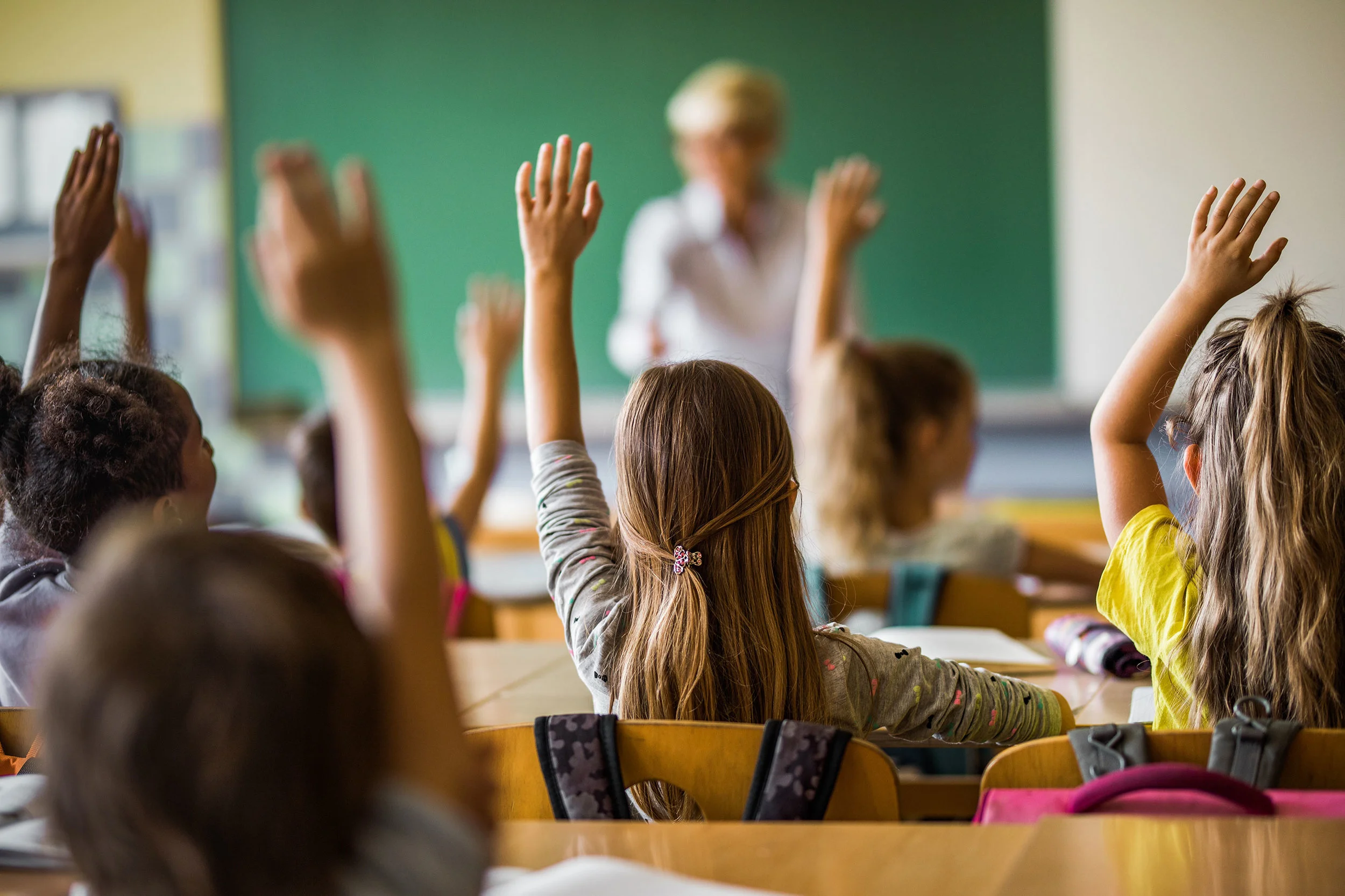 High-Quality School Brochure Printing For Student Admissions