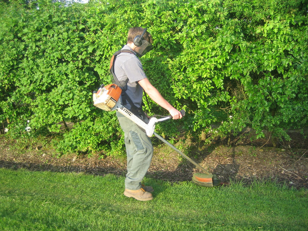 Grass Cutting Service For Business Mulbarton