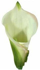 Artificial Funeral Flowers Suppliers UK