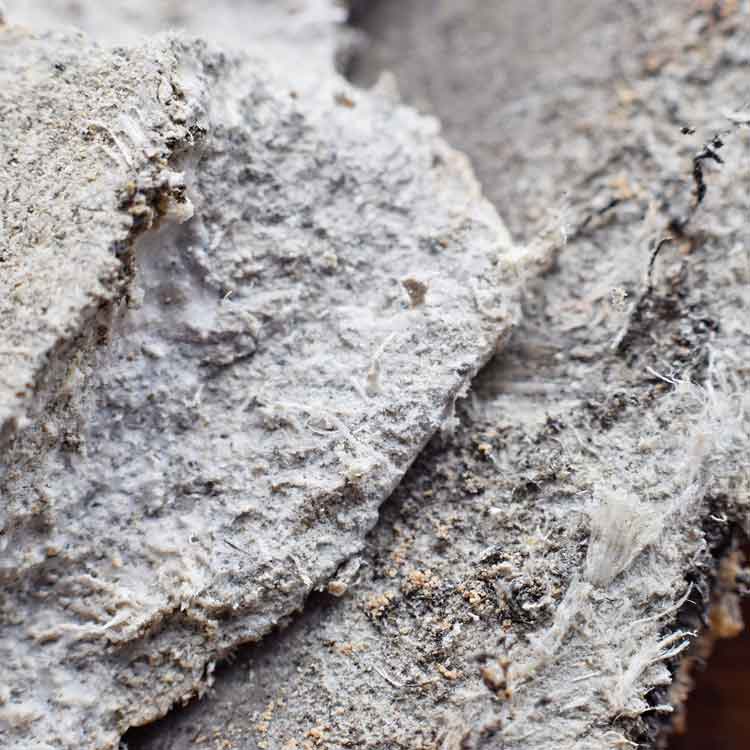 Mesothelioma Can Be Caused By Exposure To Asbestos